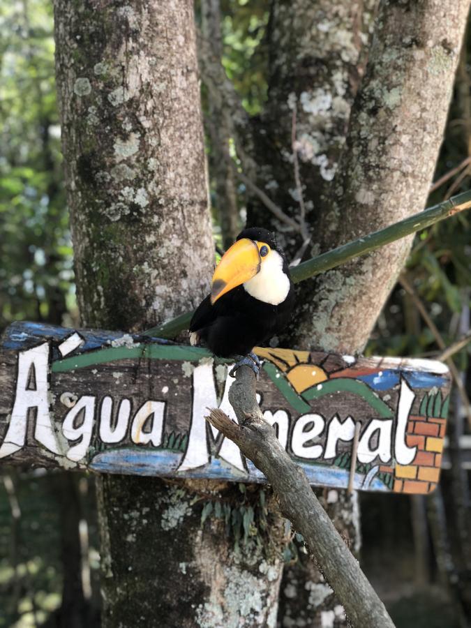 Hotel Fazenda Morro Pelado Águas de Lindóia Esterno foto